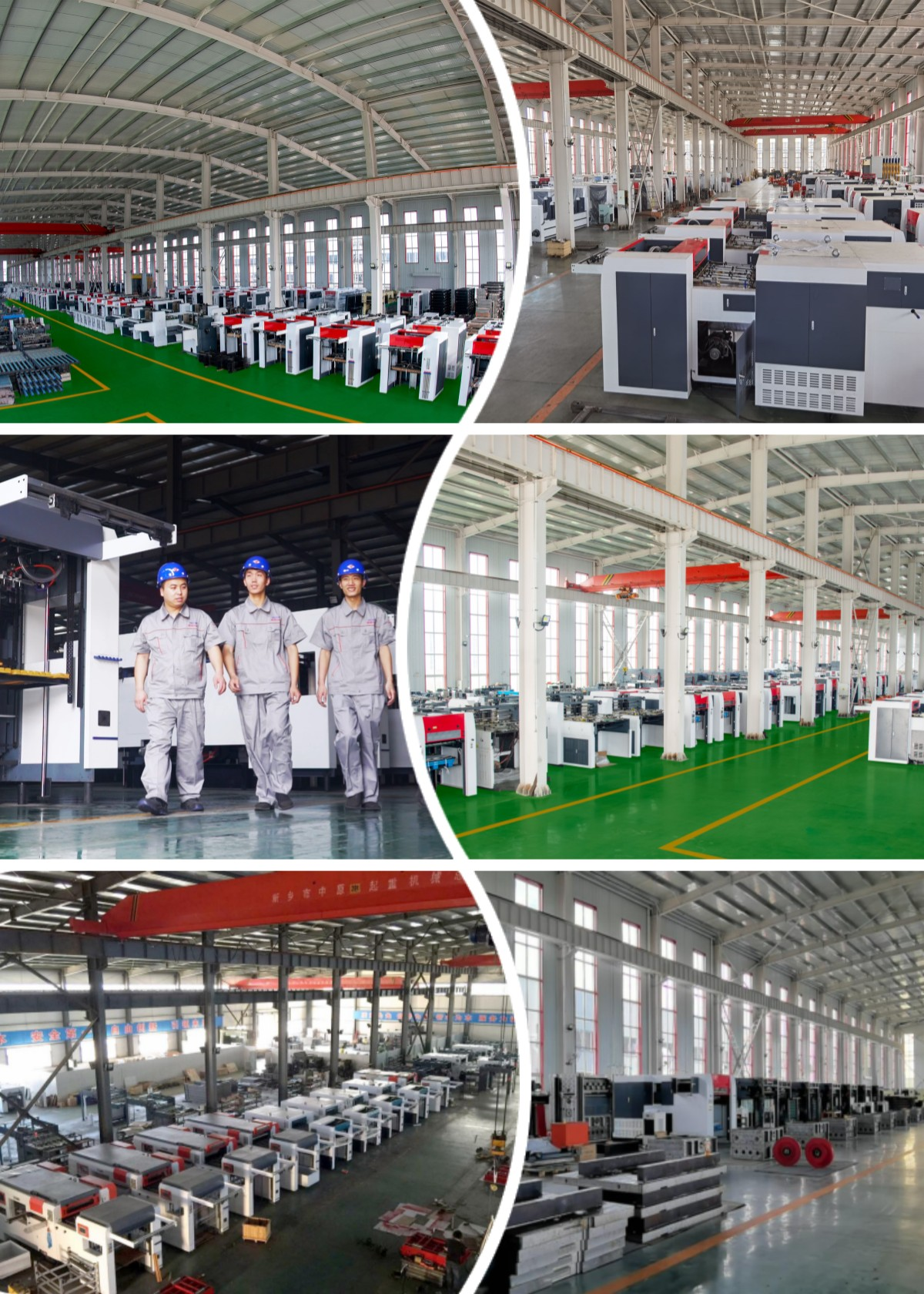 High Precision JIGUO TMY-1320H Automatic Die Cutting & Foil Stamping Machine (±0.1mm)