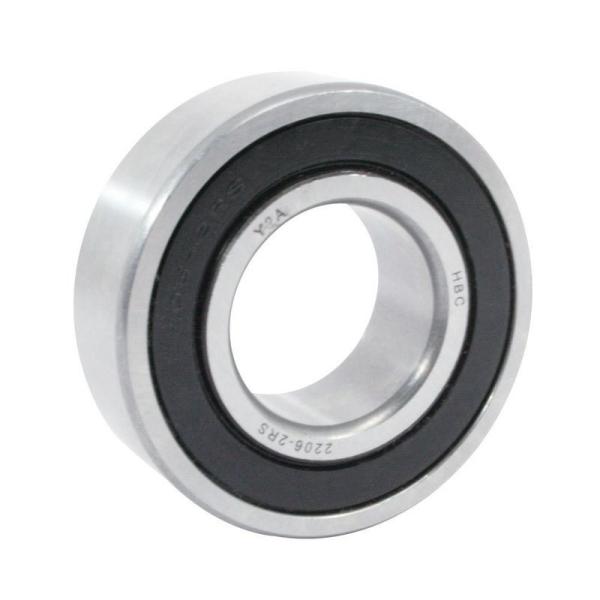Bore 20mm Brass Cage Double Row Ball Bearings Stainless Steel Bearing 1204C3