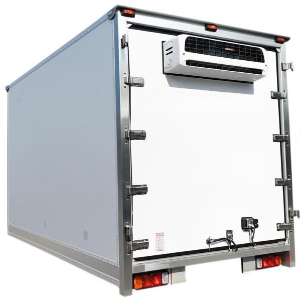 Carrosserie de camion réfrigéré en FRP légère haute résistance personnalisable