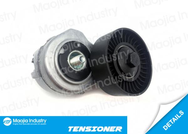 Ranger B3000 Sable V Belt Tensioner Assembly Customized 14.8X13X13 cm 0.81 kg