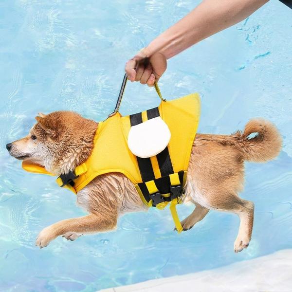 Chaqueta salvavidas ligera para mascotas con patrón antideslizante, ropa impermeable para exteriores