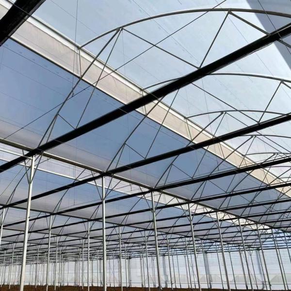 Origin Eco Greenhouse System with Film Cover Material 20.000kg Package Gross Weight