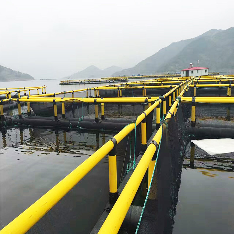 Economical Simple HDPE Floating Fish Cage Temporary Rearing Cage for Fry Fingerling Culture in Small Reservoir