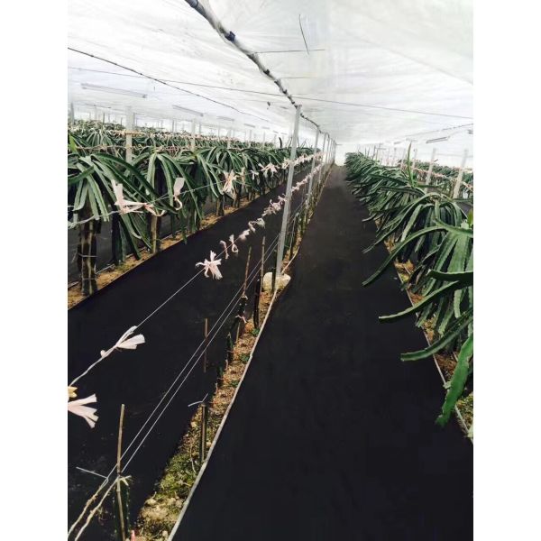 Ультрафиолетовое обработанное Nonwoven управление парника или засорителя фильма ткани