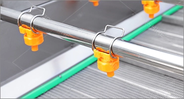 SUS304 Stainless Steel Bubble Vegetable Washing Machine For Carrots Potatoes Ginger Apples