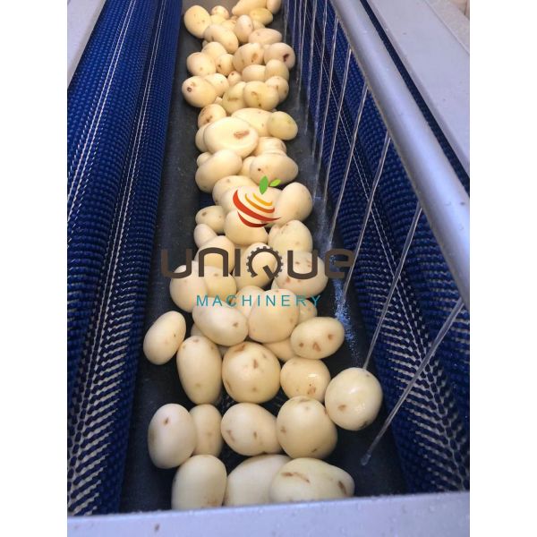 Коммерческая картофельная очистка и машина для мытья моркови с настраиваемым напряжением