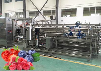 A linha de processamento Turnkey de Berry Paste Pulp Industrial Pasteurizer fácil limpa
