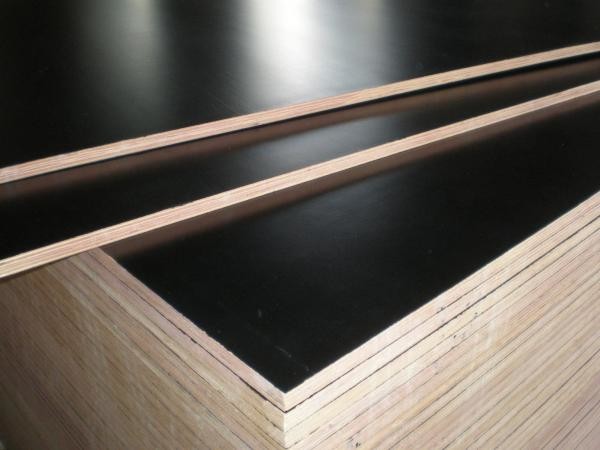 Competitive price film faced plywood ,melamine film faced plywood with best quality