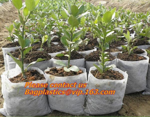 Horticulture, Planter, Grow Bag, garden bags, grow bags, hanging plant bags, planter