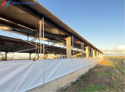 Facile Construire un hangar de porcs Construction de bâtiments en acier Construction de maisons de vaches