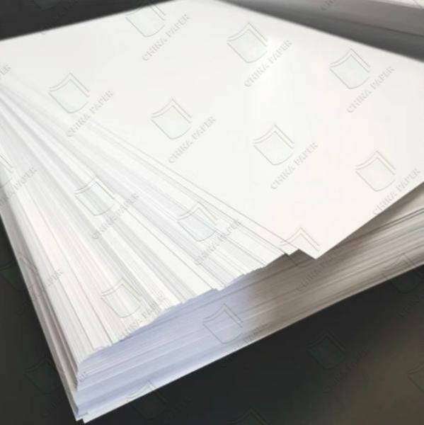 210gsm-400gsm C1S Board Ivory Sheets For Box Packaging