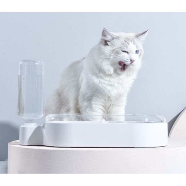 Ceramic Pet Feeder Bowls Set 15 Degree Tilted Platform For Water Food