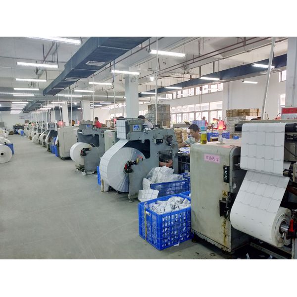 BPA Free Thermal Shipping Label 100mm x 150mm for Parcel / Carton