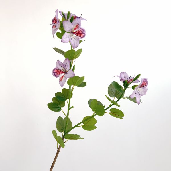 Chinese Redbud Plastic Artificial Bauhinia Flower for Home and Hotel Decor