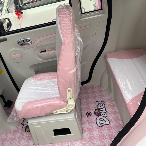 Electric Cabin Passenger Enclosed Electric Tricycles 1200W 3 wheel electric scooter