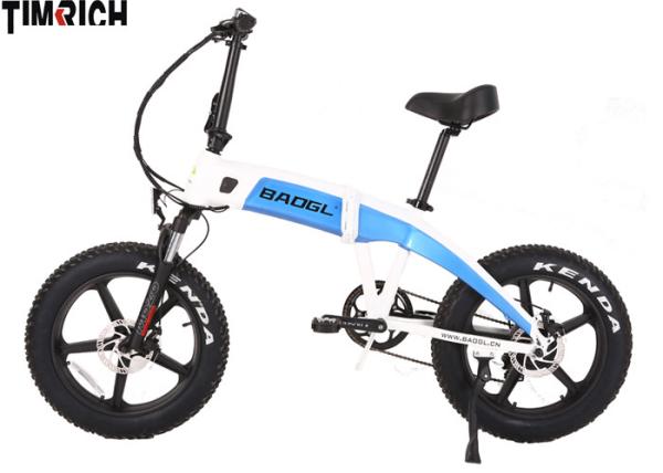 Fat Tire Lightweight Folding Electric Scooter E Bike TM-BGL-EFB10 20 For Adult