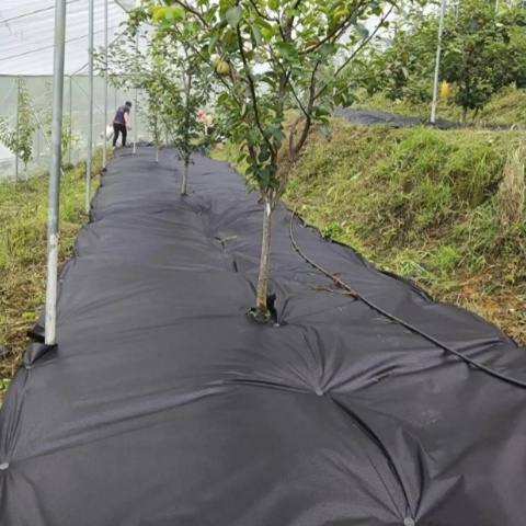 70-90g/M2 Weed Control Membrane Fabric Black Weed Barrier Cloth