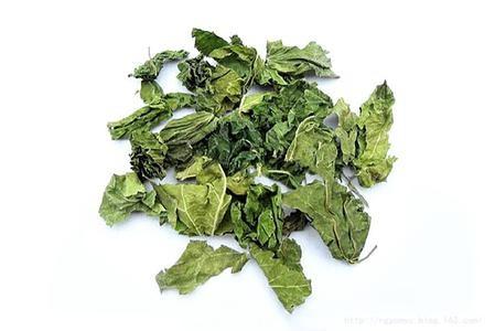 Eucommia Ulmoides P.E. Chlorogenic acid 30%,98%, CAS No.: 327-97-9, Antioxidant, anti-aging, enhance immune,