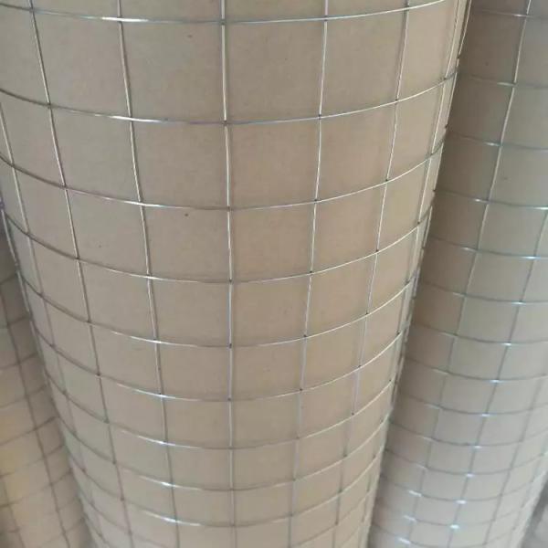 Galvanised Welded Mesh Fencing 1/2 1/4 1 Inch Pvc Coated 6 Ft