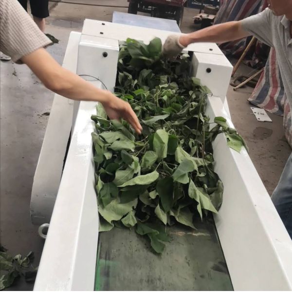 1.45*0.87*2.2m 15kw 0.3T/H Tree Branch Shredder