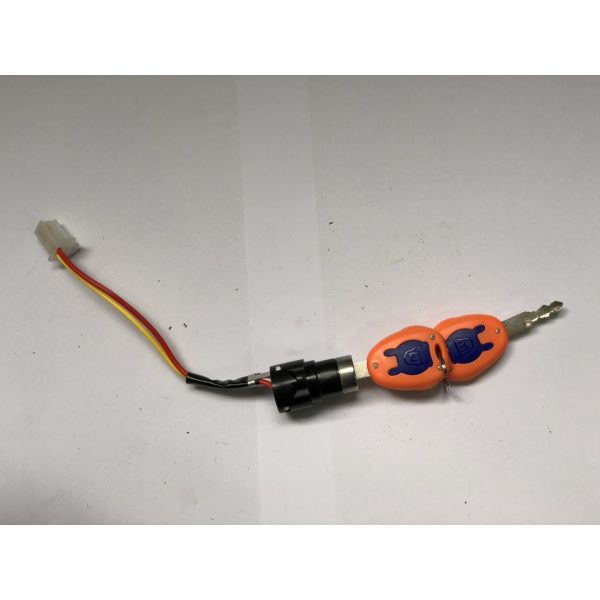 Starting Key Switch Lock Electric Rickshaw Parts , E Rickshaw Accessories Colorful