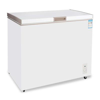 Petit réfrigérateur à froid 110V 220V en option