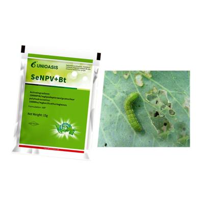Certificação Biológica Biopesticida SeNPV Bt Matar Beterraba Verme do Exército Jardim Vegetal