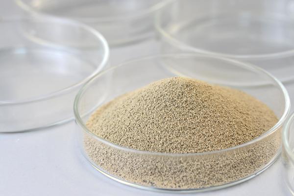 Enzima em pó especializada em betel / líquido afrouxa as fibras de betel aumentam a elasticidade de mastigação