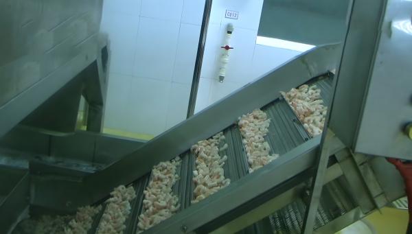 Shrimp Cooling High Pressure Cleaning Lifting Machine Shrimp Cooling Machine Cooked Shrimp Quick Cooler