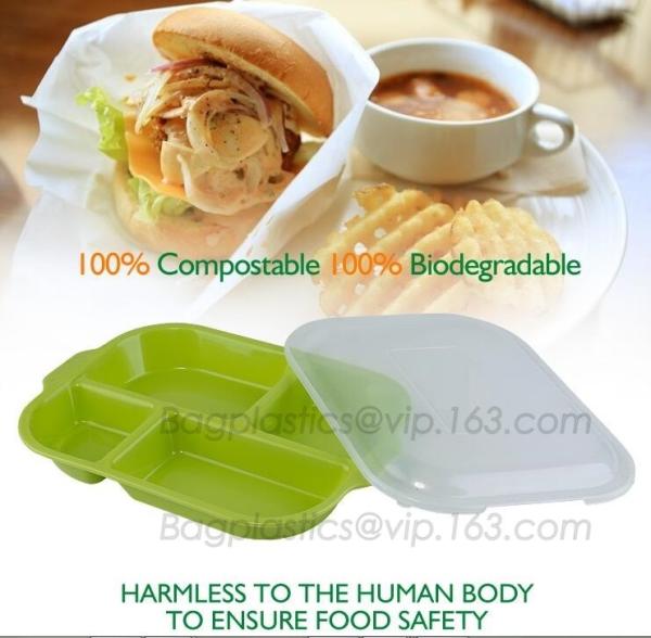 plastic tray, food tray, food container, Fast Food Tray biodegradable plastic 5 Compartment Student Lunch Plate