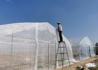 HDPE Insect Net House Galvanized Steel Pipe For Vegetable Seedling Nursery