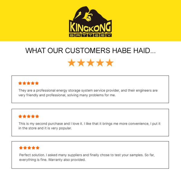 51.2V 300Ah Système de stockage solaire à batterie LiFePO4 monté sur le mur, 15kWh, garantie de 10 ans, surveillance APP, 8000+ cycles, CE/RoHS