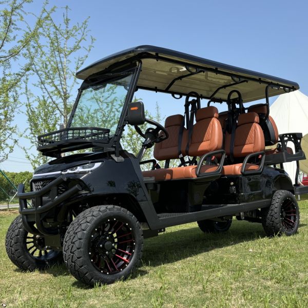 Новый гольф-кошелек 4 колеса электрический литий батарейный скутер мода популярный