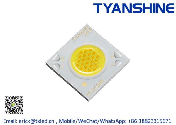 36V Bi-color COB LED CRI90 , 12W Tunable White COB LED 2800K-6500K LM-80