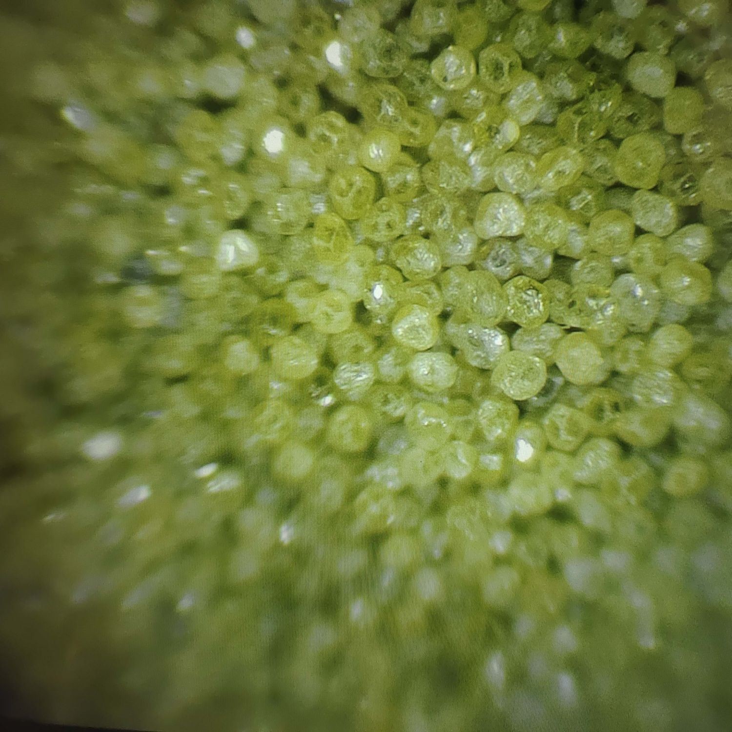Industrial Rvd Synthetic Diamond Powder for Diamond Tool Manufacturing Efficiency