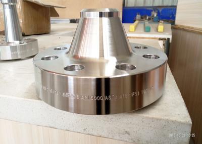 forged DIN2527 PN6-PN100 DN10-DN1000 ASTM A182 F316L Blind flange
