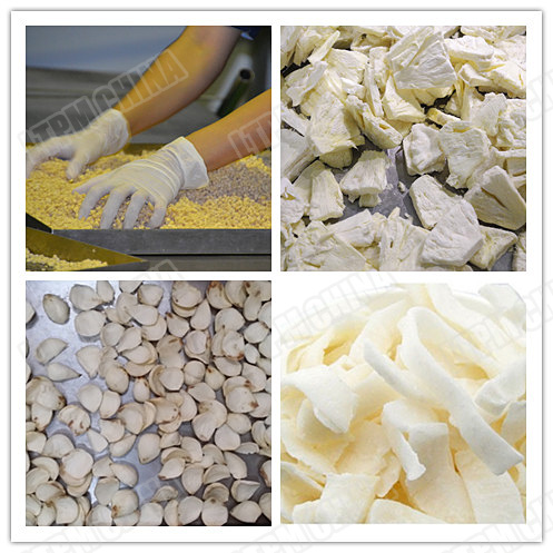 Biological Product Vacuum Freeze Dryer Intelligent Automatic Control