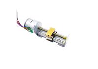 SM20-35L 2 do parafuso diminuto do slider da fase 20mm motor deslizante deslizante da C.C. pm do motor 12V