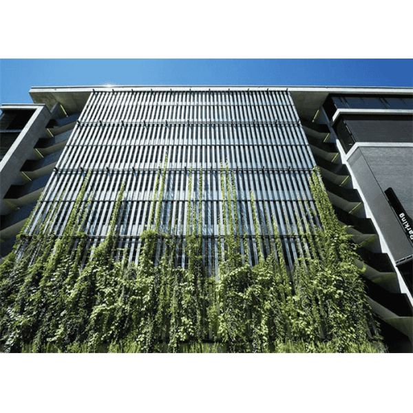 304L 316L Plant Climbing Net Support Mesh 60 Degree Stainless Steel Wall Plant