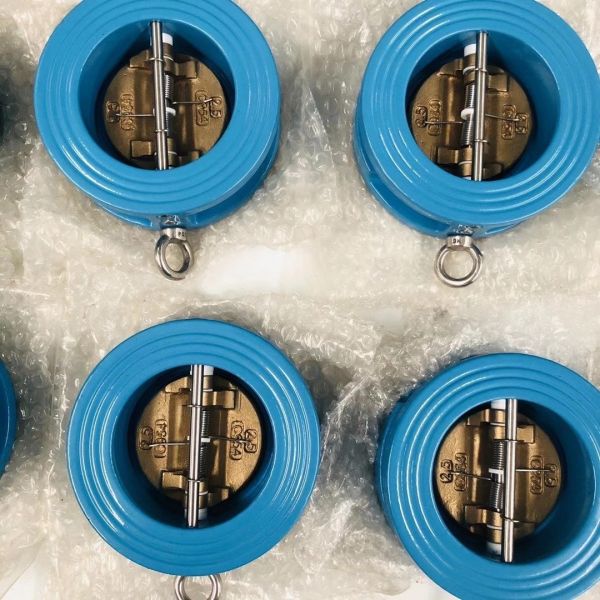 Epdm Seal Pn16 Cast Iron Spring Silent Non Return Cf8 Disc Dual Plate Silent Wafer Check Valve For Water