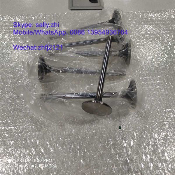 original weichai  valve in  4110000970063, main engine parts  for excavator LG6250E for sale