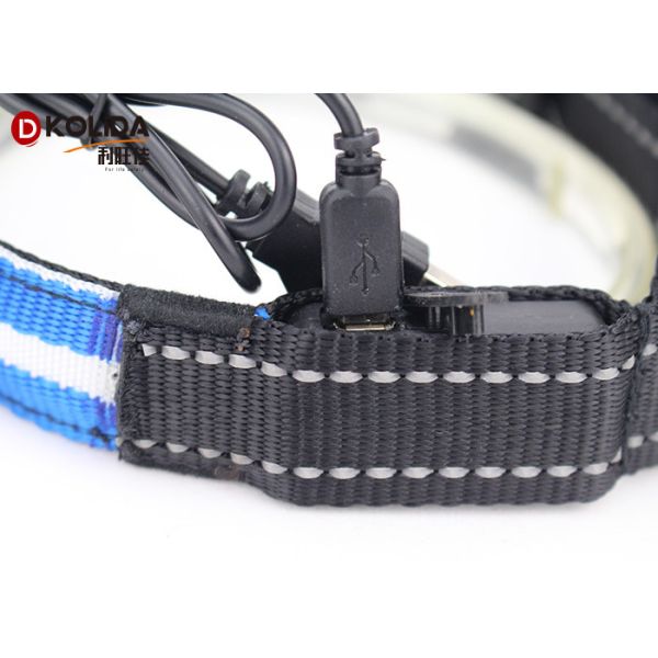 Glow Dog Puppy Usb Rechargeable Flashing Collar Safety Nylon Leash Harness