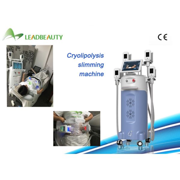 Salon Use Fat Freezing cryolipolysis fat freeze slimming machine