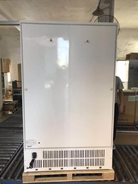 610L upright double sliding door auto frost fan cooling display beverage cooler/glass door chiller/beverage showcase