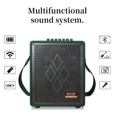 Wireless HiFi Stereo Portable Bluetooth Speaker With Strap 800W 6.5 Inch 8 Inch