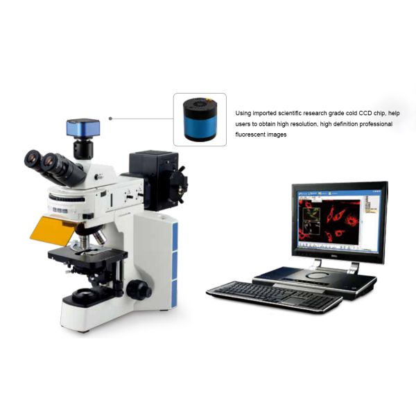 Микроскоп клинической лаборатории 100X диагноза бинокулярной биологический
