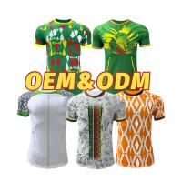 OEM ODM Campeonato da África Camisola de tamanho personalizado S M L XL 2XL 100% poliéster farbico