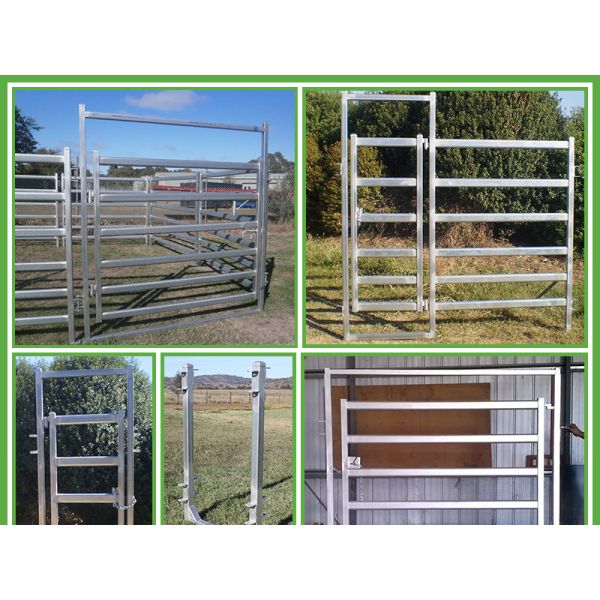 1800mm x 2100mm cattle panels oval pipes 30mm x 60mm ,40mm x 80mm