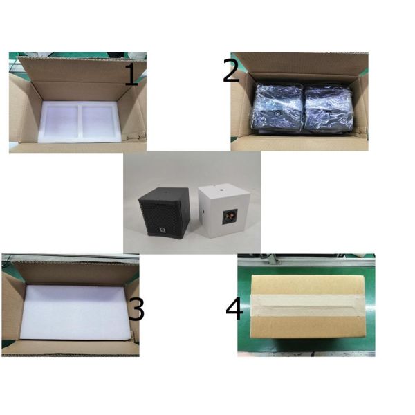 100W RMS Full Range Speaker