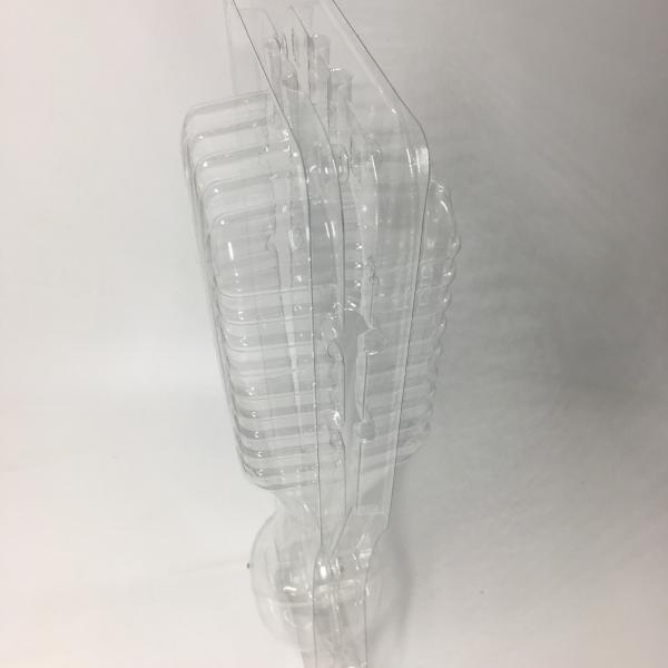 Customized blister clear pet PVC plastic plant clamshell packaging Nursery transportation folding box packaging